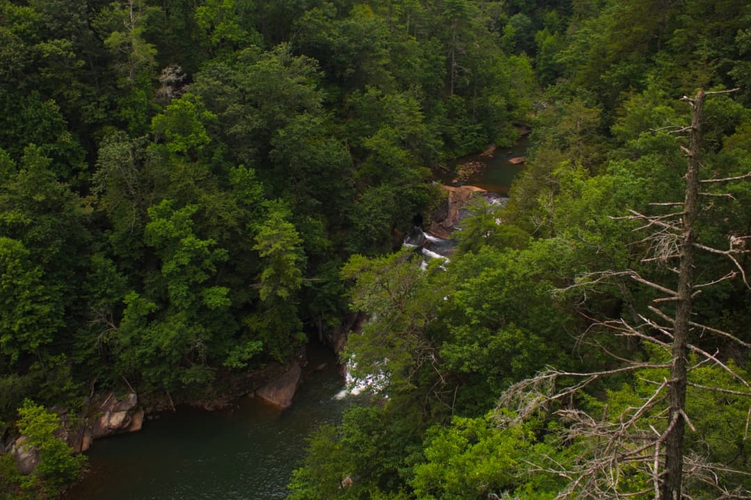 A waterfall cutting through forested cliffs