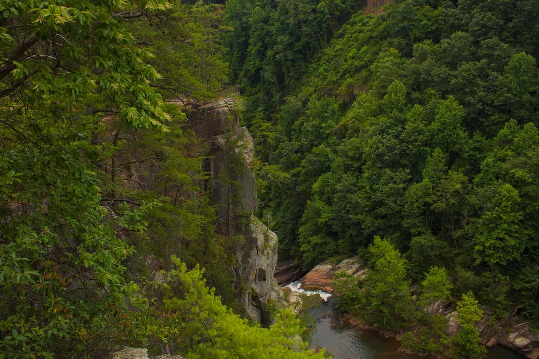 Rock face and gorge drop at Tallulah