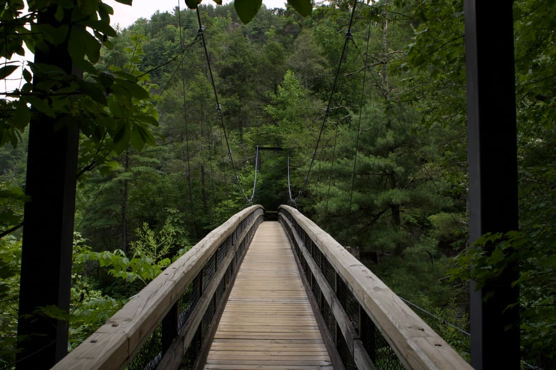 Suspension Bridge