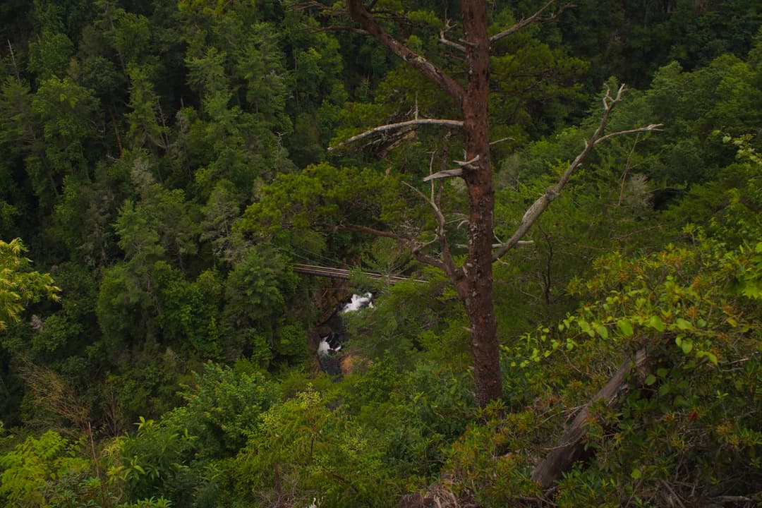View of Tallulah Gorge
